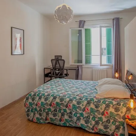 Grand-appartement-centre-bastia *