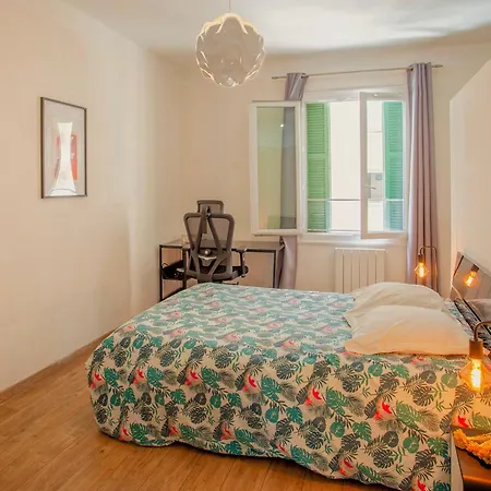 Grand-appartement-centre-bastia Bastia (Corsica)